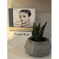 Bir Cinayet Romanı - Pınar KÜR