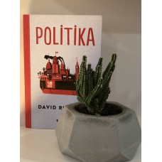 Politika - David RUNCİMAN