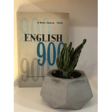 English 900 - 3