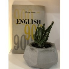 English 900 - 4