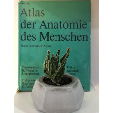 Atlas der Anatomie des Menschen -  1