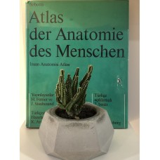 Atlas der Anatomie des Menschen -  2