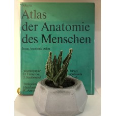Atlas der Anatomie des Menschen -  3